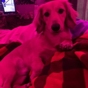 Meet your Posher, Ashlynn